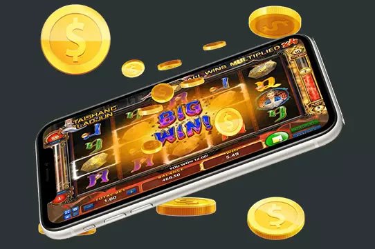 544bet